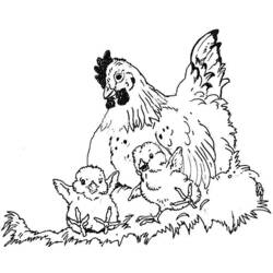 着色页: 母鸡 (动物) #17620 - 免费可打印着色页