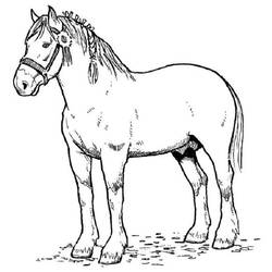 着色页: 马 (动物) #2168 - 免费可打印着色页