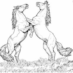着色页: 马 (动物) #2170 - 免费可打印着色页