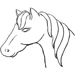 着色页: 马 (动物) #2173 - 免费可打印着色页