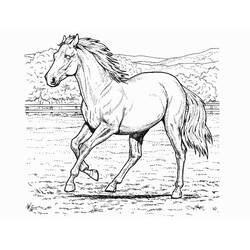 着色页: 马 (动物) #2174 - 免费可打印着色页