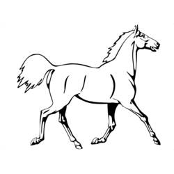着色页: 马 (动物) #2182 - 免费可打印着色页