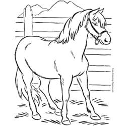 着色页: 马 (动物) #2197 - 免费可打印着色页