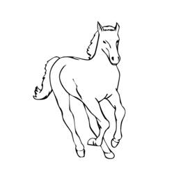 着色页: 马 (动物) #2199 - 免费可打印着色页