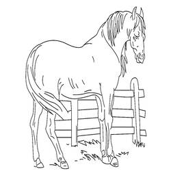 着色页: 马 (动物) #2207 - 免费可打印着色页