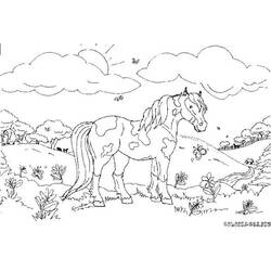着色页: 马 (动物) #2223 - 免费可打印着色页