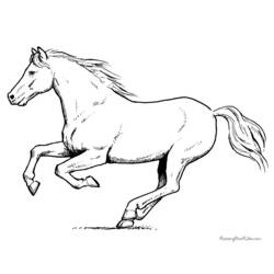 着色页: 马 (动物) #2237 - 免费可打印着色页