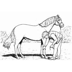 着色页: 马 (动物) #2287 - 免费可打印着色页