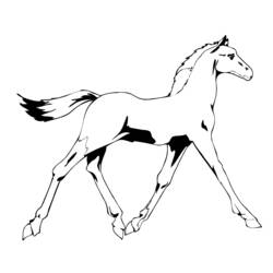 着色页: 马 (动物) #2297 - 免费可打印着色页