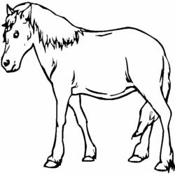 着色页: 马 (动物) #2299 - 免费可打印着色页
