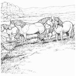 着色页: 马 (动物) #2313 - 免费可打印着色页