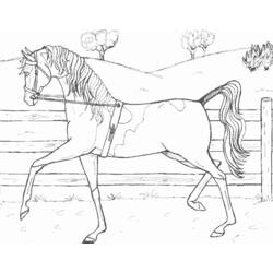 着色页: 马 (动物) #2334 - 免费可打印着色页