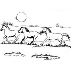 着色页: 马 (动物) #2338 - 免费可打印着色页