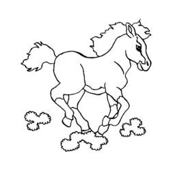 着色页: 马 (动物) #2349 - 免费可打印着色页