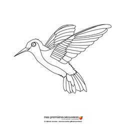 着色页: 蜂鸟 (动物) #3797 - 免费可打印着色页