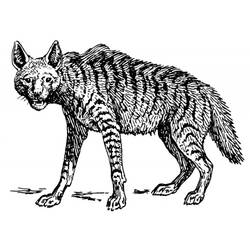 着色页: 鬣狗 (动物) #19644 - 免费可打印着色页
