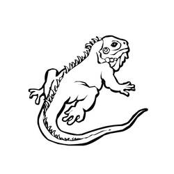 着色页: 鬣蜥 (动物) #8910 - 免费可打印着色页