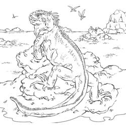 着色页: 鬣蜥 (动物) #8913 - 免费可打印着色页