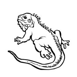 着色页: 鬣蜥 (动物) #8948 - 免费可打印着色页