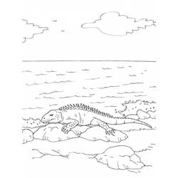着色页: 鬣蜥 (动物) #8949 - 免费可打印着色页