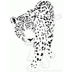 着色页: 捷豹 (动物) #9002 - 免费可打印着色页