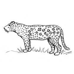 着色页: 捷豹 (动物) #9010 - 免费可打印着色页