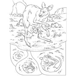 着色页: 袋鼠 (动物) #9151 - 免费可打印着色页