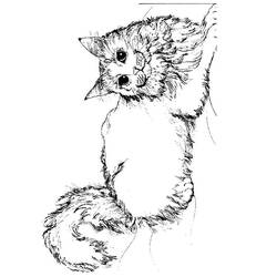 着色页: 小猫 (动物) #18047 - 免费可打印着色页