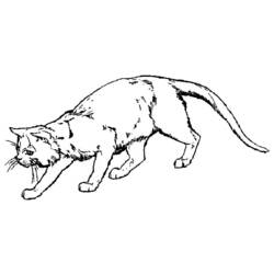 着色页: 小猫 (动物) #18059 - 免费可打印着色页