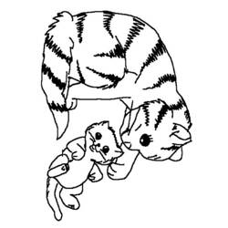 着色页: 小猫 (动物) #18065 - 免费可打印着色页