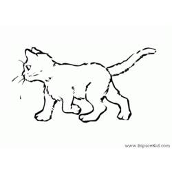 着色页: 小猫 (动物) #18067 - 免费可打印着色页