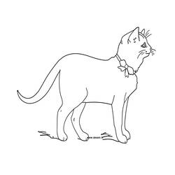 着色页: 小猫 (动物) #18084 - 免费可打印着色页