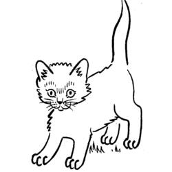 着色页: 小猫 (动物) #18123 - 免费可打印着色页
