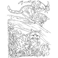 着色页: 小猫 (动物) #18146 - 免费可打印着色页