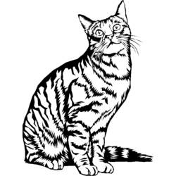 着色页: 小猫 (动物) #18148 - 免费可打印着色页