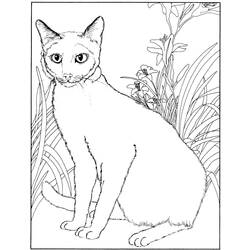 着色页: 小猫 (动物) #18205 - 免费可打印着色页