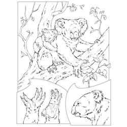 着色页: 考拉 (动物) #9339 - 免费可打印着色页