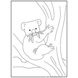 着色页: 考拉 (动物) #9342 - 免费可打印着色页
