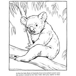 着色页: 考拉 (动物) #9388 - 免费可打印着色页