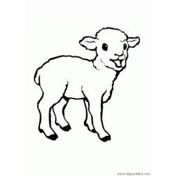 着色页: 羊肉 (动物) #175 - 免费可打印着色页