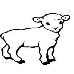 着色页: 羊肉 (动物) #177 - 免费可打印着色页