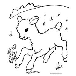 着色页: 羊肉 (动物) #190 - 免费可打印着色页