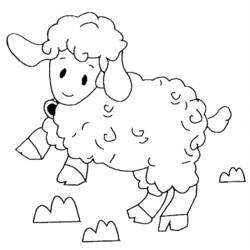 着色页: 羊肉 (动物) #191 - 免费可打印着色页