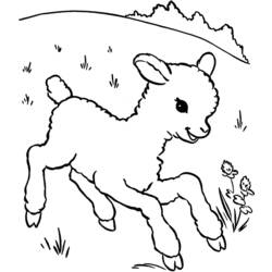 着色页: 羊肉 (动物) #198 - 免费可打印着色页