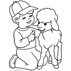 着色页: 羊肉 (动物) #202 - 免费可打印着色页