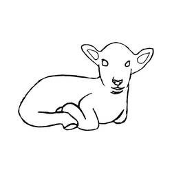 着色页: 羊肉 (动物) #204 - 免费可打印着色页