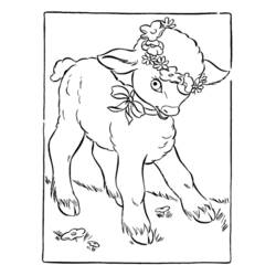 着色页: 羊肉 (动物) #206 - 免费可打印着色页