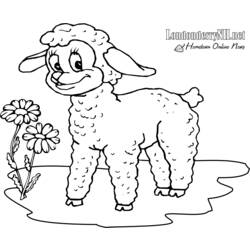 着色页: 羊肉 (动物) #210 - 免费可打印着色页
