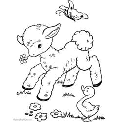 着色页: 羊肉 (动物) #214 - 免费可打印着色页