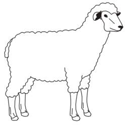 着色页: 羊肉 (动物) #222 - 免费可打印着色页